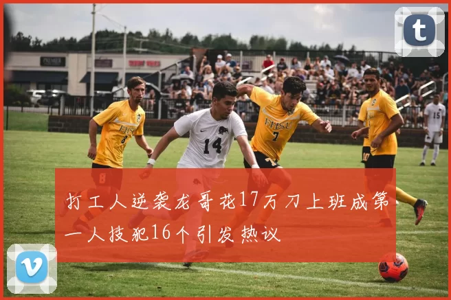 打工人逆袭龙哥花17万刀上班成第一人技犯16个引发热议