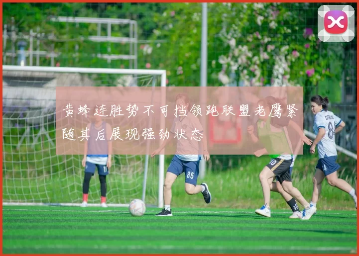黄蜂连胜势不可挡领跑联盟老鹰紧随其后展现强劲状态