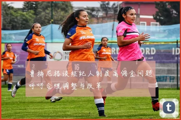 鲁梅尼格谈经纪人制度高佣金问题呼吁合理调整与改革